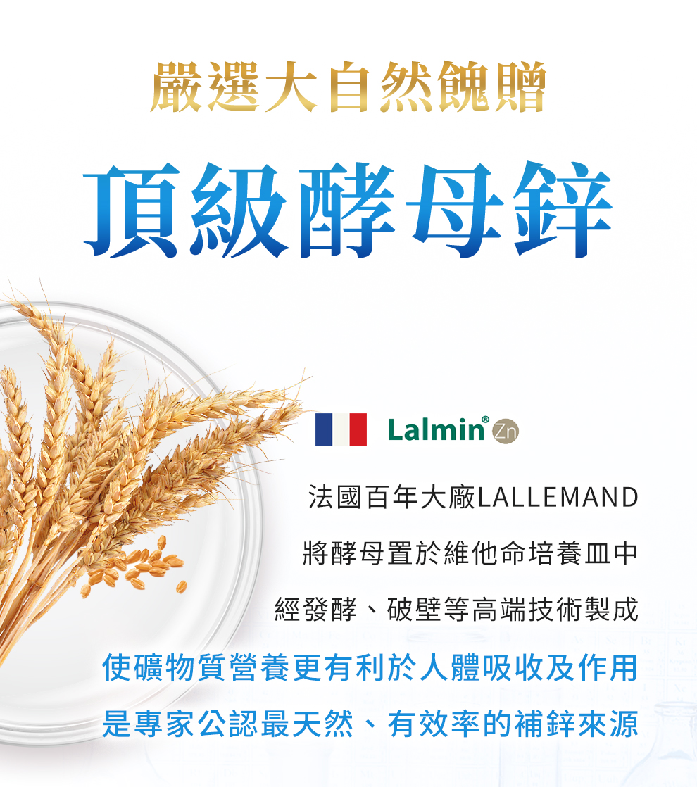 DM 20240703145301 004