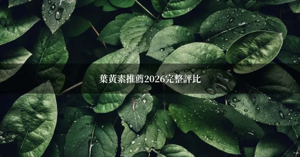 葉黃素推薦2026完整評比:藥師教你怎麼挑適合自己的品牌 4 葉黃素推薦2026評比,大樹藥局葉黃素